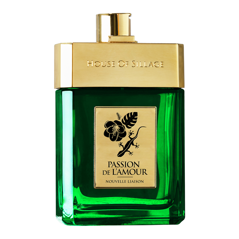 Passion de L'Amour Nouvelle Liaison