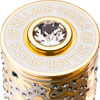 Whispers of Truth Travel Case